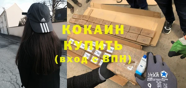 стаф Арсеньев