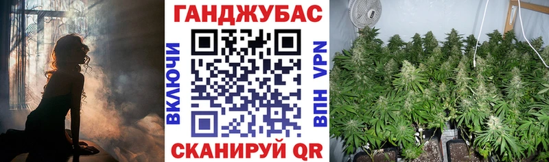 OMG   Бавлы  МАРИХУАНА SATIVA & INDICA 